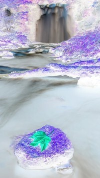 Negatyw