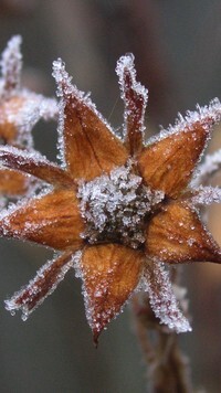 Oryginalny obrazek