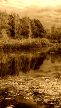 Sepia