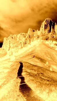 Sepia + Negatyw