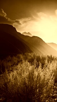 Sepia