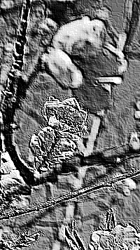 Skamielina