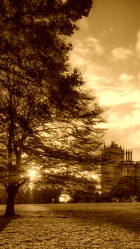 Sepia