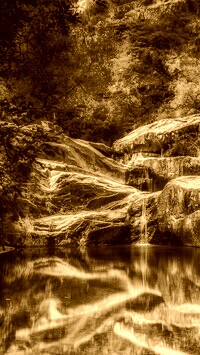 Sepia