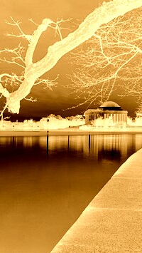 Sepia + Negatyw