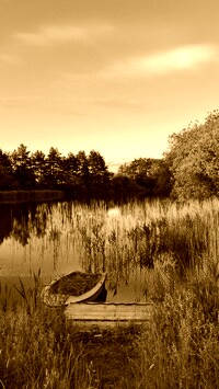 Sepia