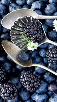 Oryginalny obrazek