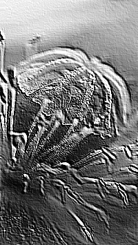 Skamielina