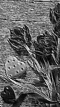 Skamielina