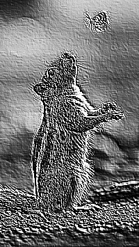 Skamielina