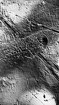 Skamielina
