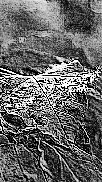 Skamielina
