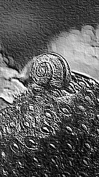 Skamielina