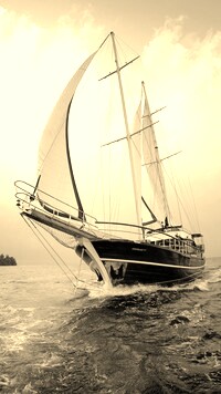 Szary + Sepia