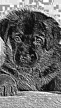 Skamielina