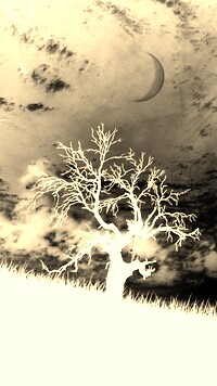 Sepia + Negatyw