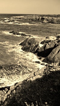 Sepia