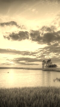 Szary + Sepia