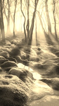 Szary + Sepia