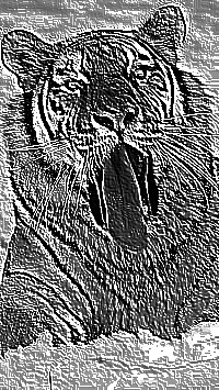 Skamielina