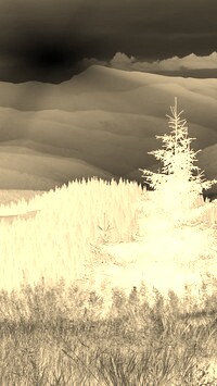 Sepia + Negatyw