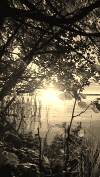 Sepia