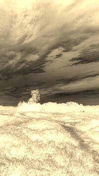 Sepia + Negatyw