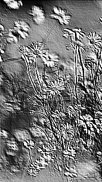 Skamielina