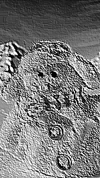 Skamielina