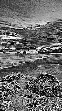 Skamielina
