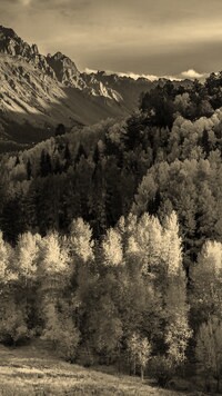 Sepia