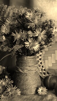 Szary + Sepia