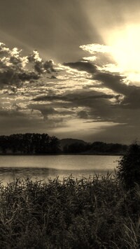 Szary + Sepia