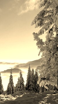 Sepia