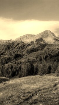 Szary + Sepia
