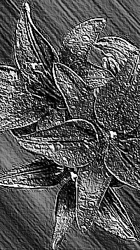 Skamielina