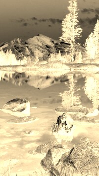 Sepia + Negatyw