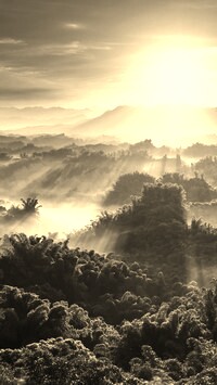 Sepia