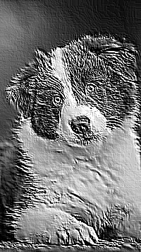 Skamielina