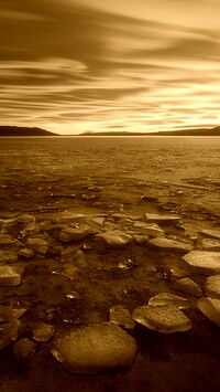 Sepia