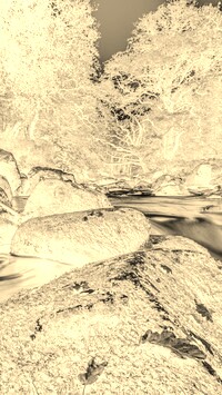 Sepia + Negatyw