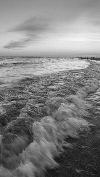 Szary