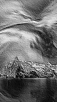 Skamielina