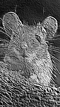 Skamielina