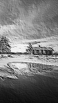 Skamielina