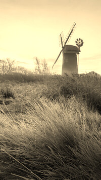 Szary + Sepia