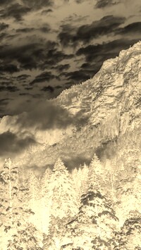 Sepia + Negatyw