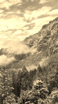 Szary + Sepia