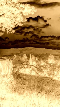Sepia + Negatyw