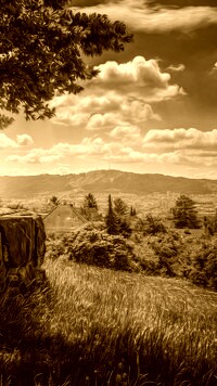 Sepia